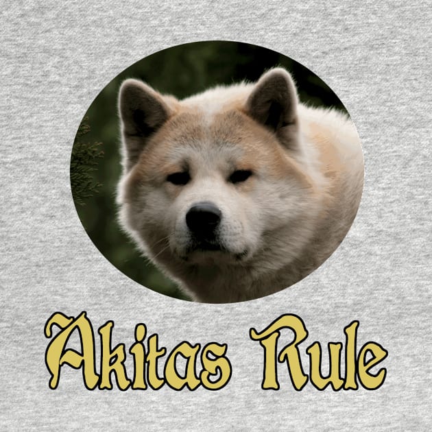 Akitas Rule by Naves